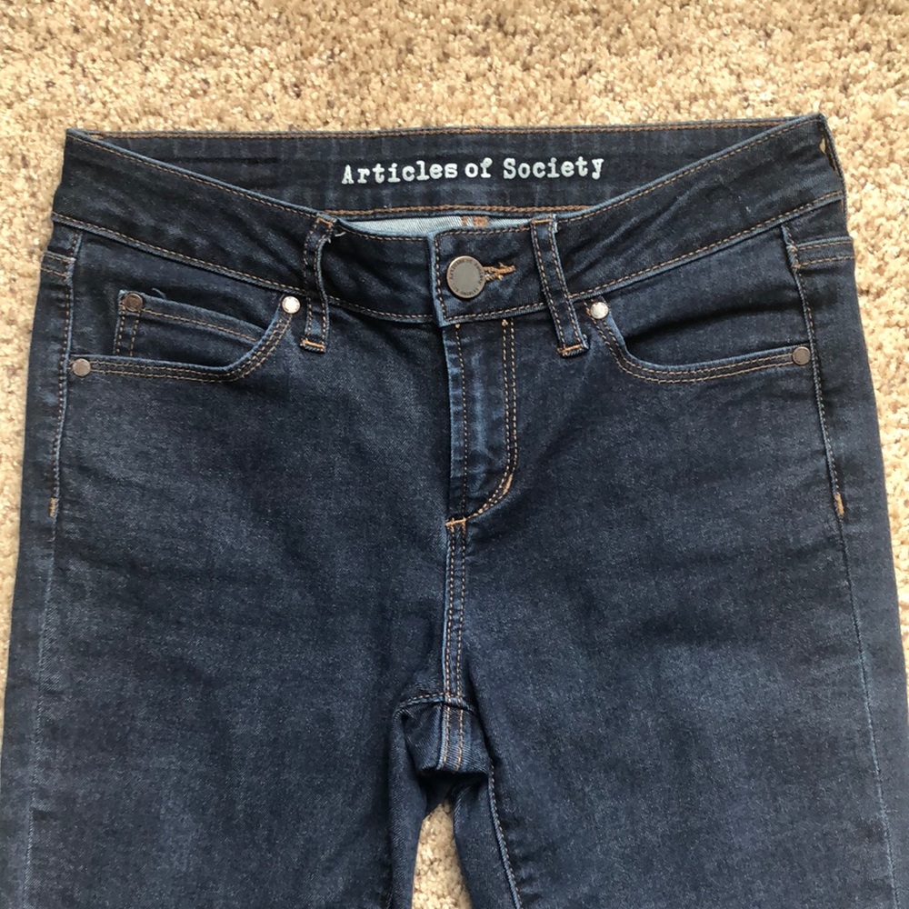 Articles of Society Skinny Jeans